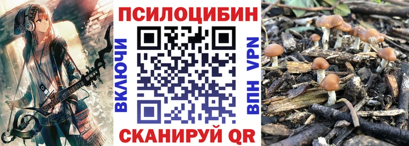 это клад  Ершов  Галлюциногенные грибы Cubensis 